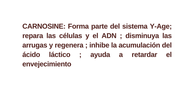 CARNOSINE Forma parte del sistema Y Age repara las células y el ADN disminuya las arrugas y regenera inhibe la acumulación del ácido láctico ayuda a retardar el envejecimiento